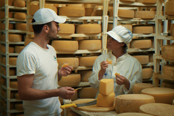 Cheese