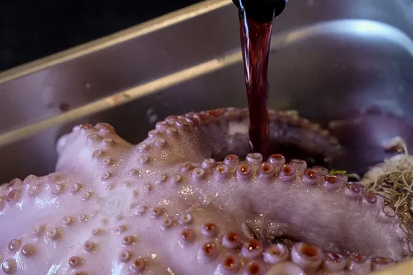 Octopus25